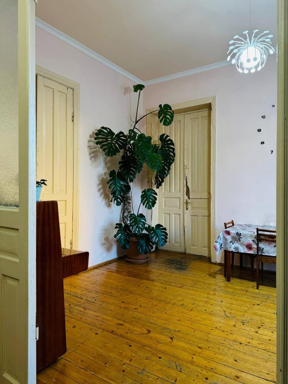 קוטאיסי Guest House "Bubu" מראה חיצוני תמונה